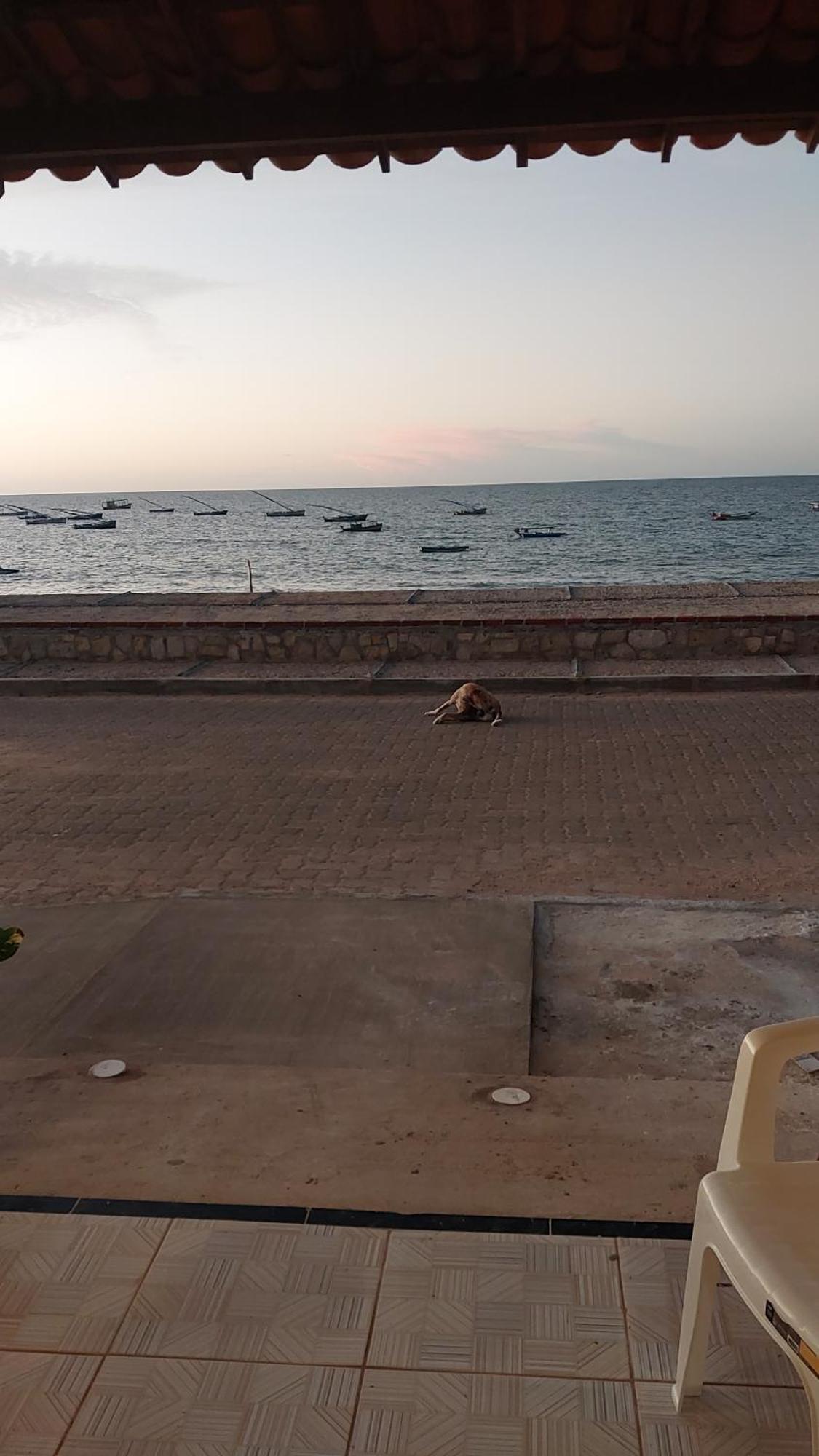 Chales Canto Do Mar レドンダ エクステリア 写真